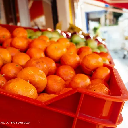 Sea Front & Center, Amazing Sea View *