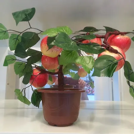 Sea Front & Center, Amazing Sea View Daire *