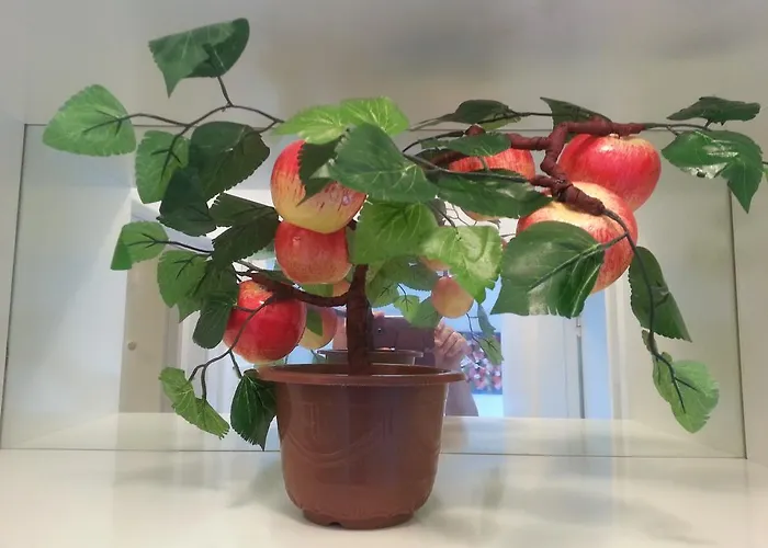 Sea Front & Center, Amazing Sea View Apartamento *