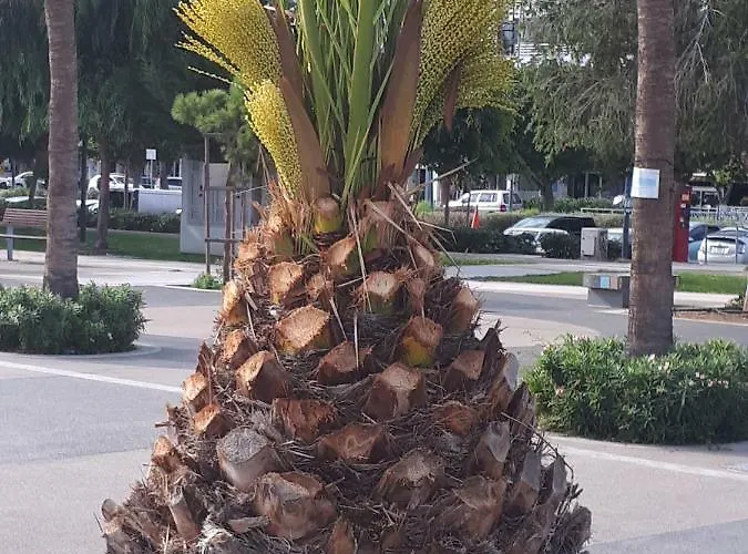 아파트 Sea Front & Center, Amazing Sea View